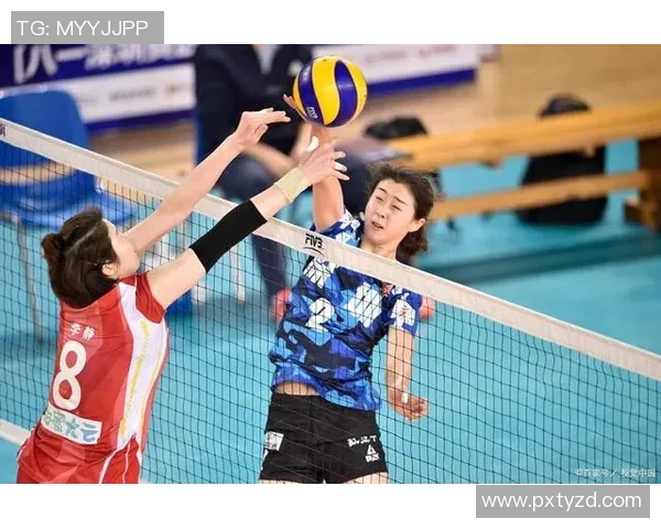 深圳排球队技术实力强劲荣登全国排球技术排行榜第七位